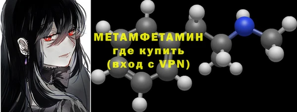шишки Надым