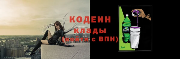 шишки Надым