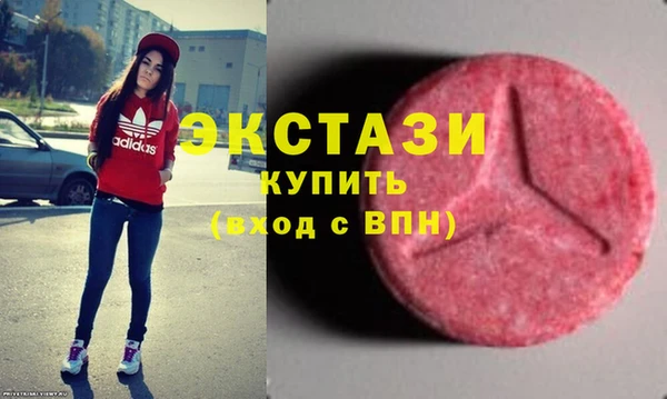 шишки Надым