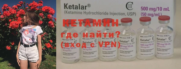 шишки Надым