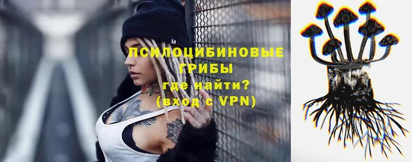 трава Алагир