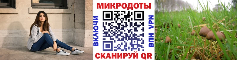 как найти закладки  Зарайск  Галлюциногенные грибы Cubensis 
